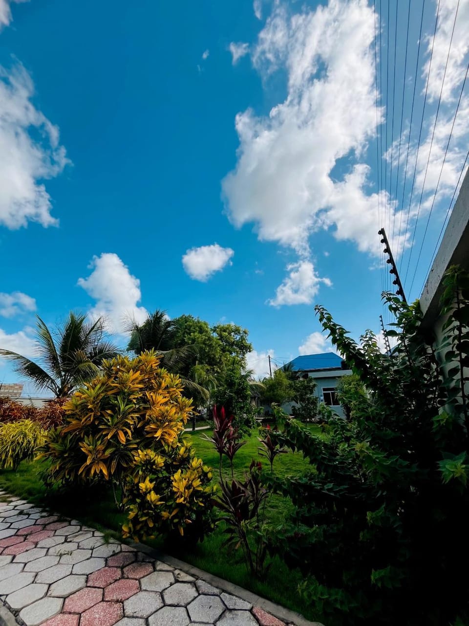 Palm Paradise Villa in Tanzania