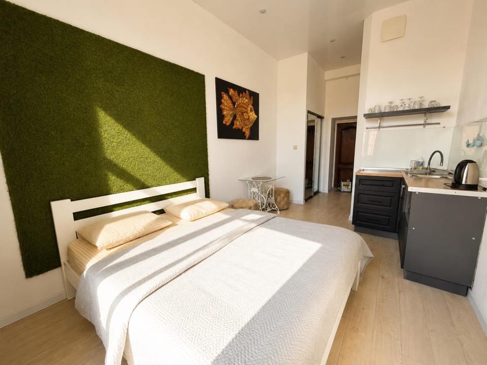 Bed, Kitchen or kitchenette, Photo of the whole room, Bedroom, stove