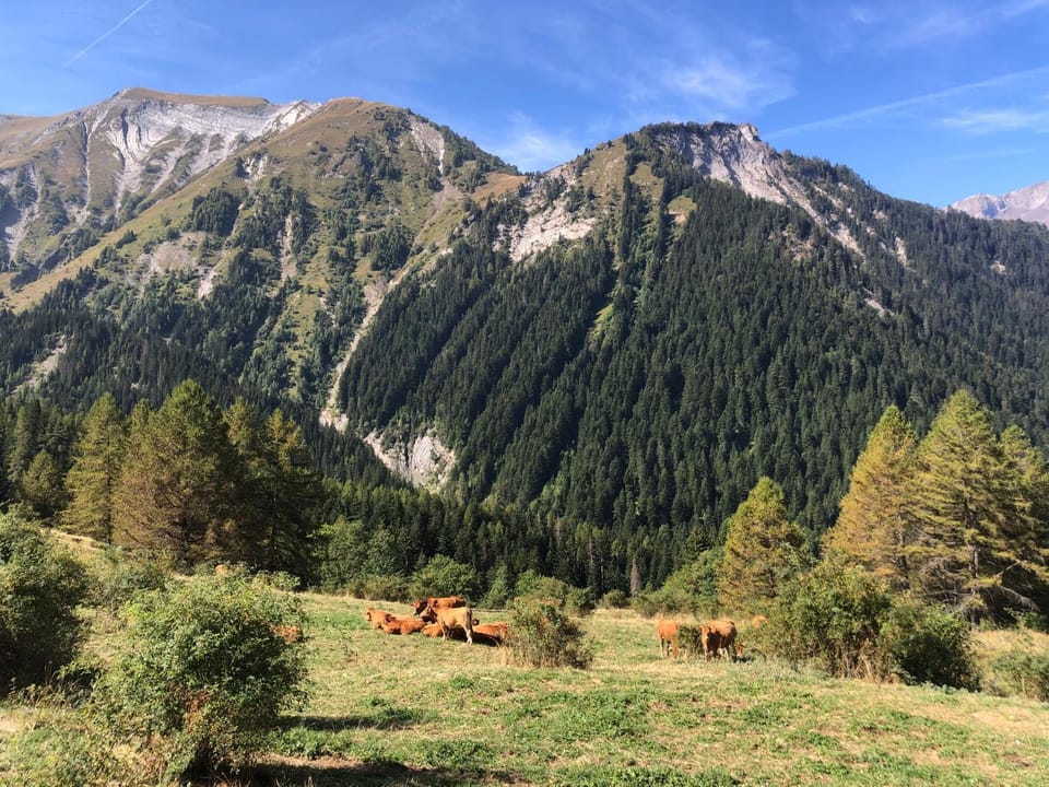 Nearby landmark, Natural landscape