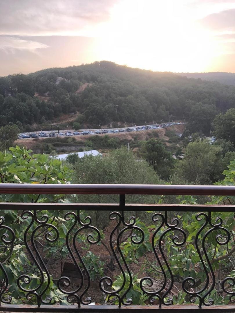 Natural landscape, Bird's eye view, View (from property/room), Balcony/Terrace, Mountain view