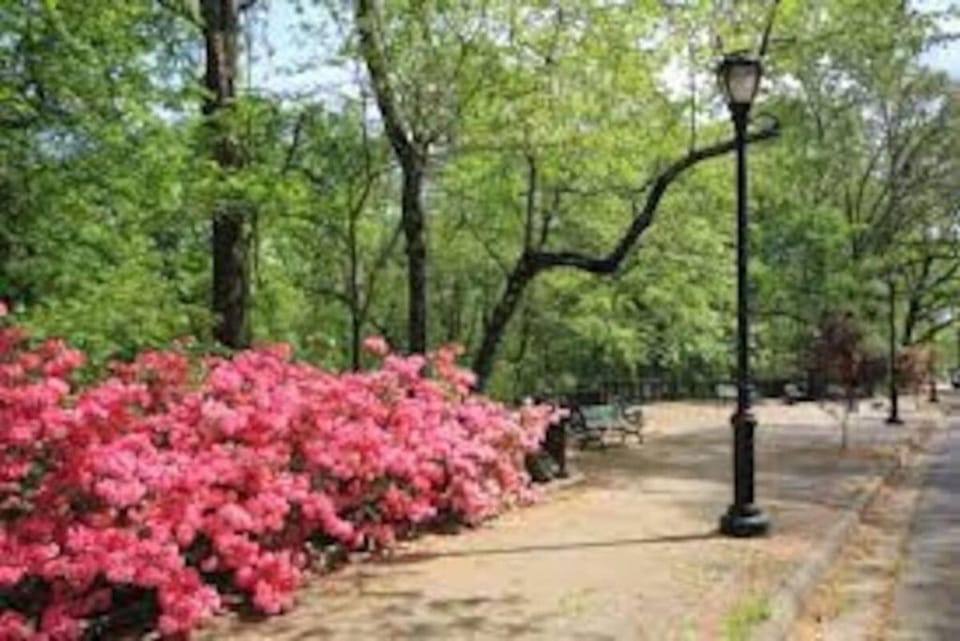 A Hillcrest Harbor for Couples or Digital Nomads Apartment in Little Rock
