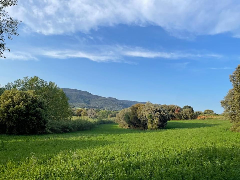 Barcelona Suburban Hot Spring Village CASA MINA Olive Room One Bed Exclusive Suite Bed and Breakfast in Maresme