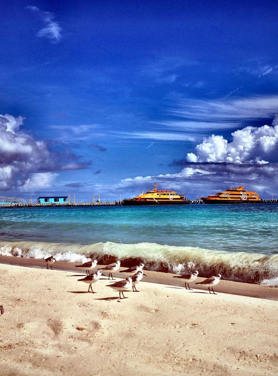 Natural landscape, Beach