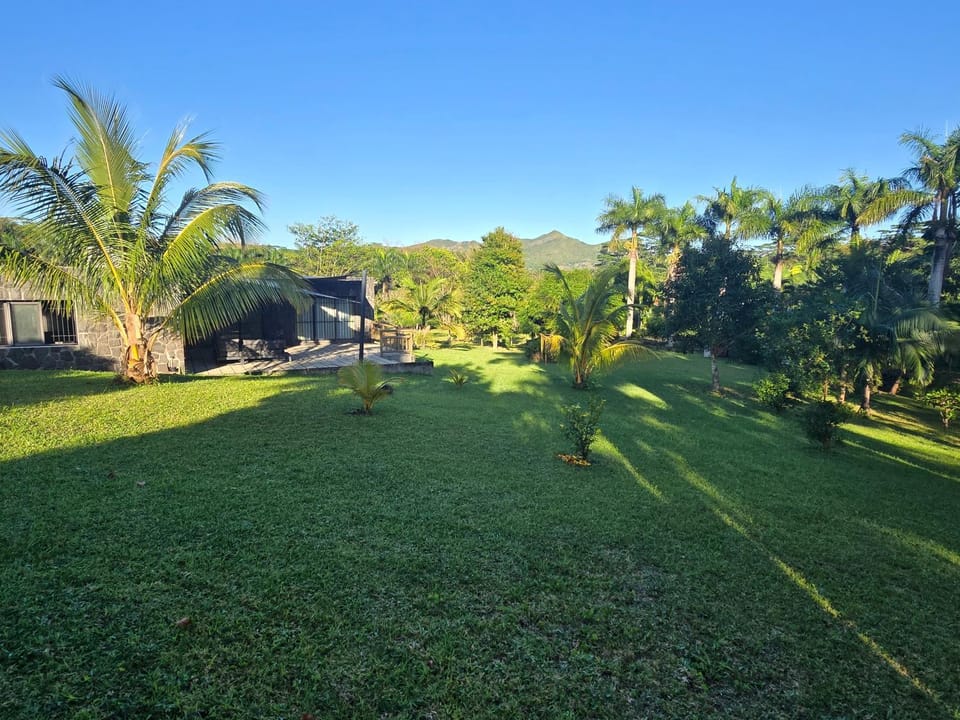 Garden, View (from property/room), Garden view