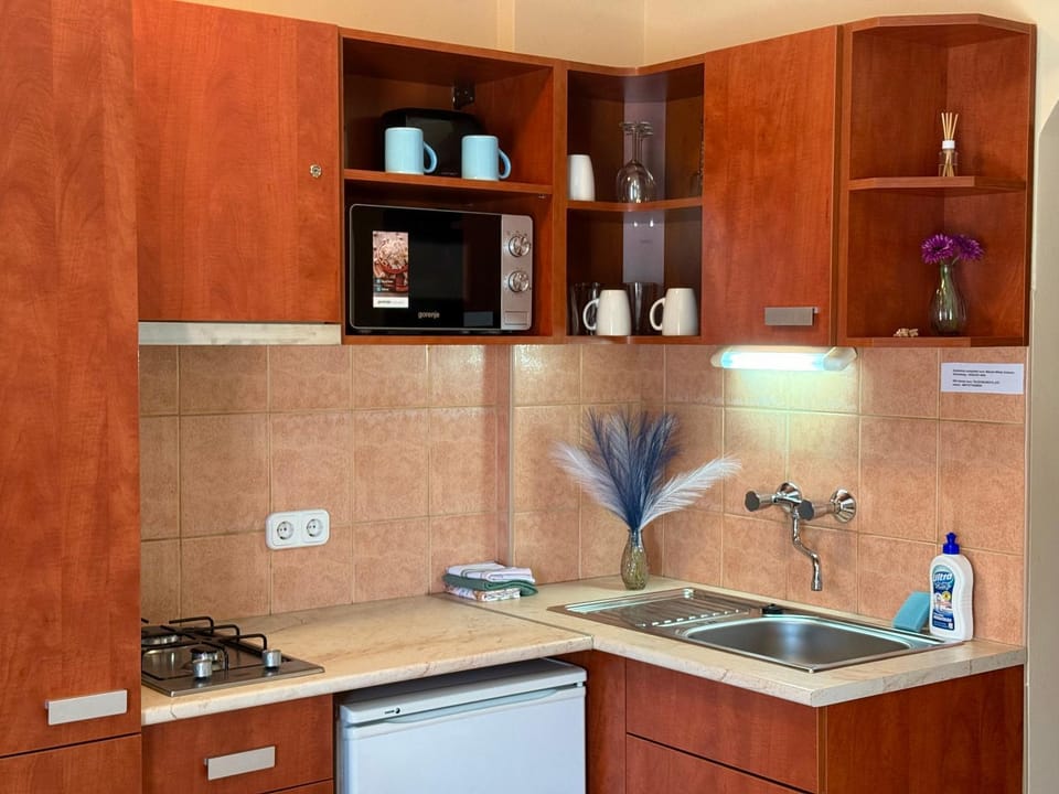 Kitchen or kitchenette, Photo of the whole room, stove