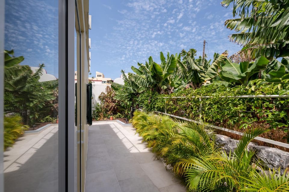 Day, Natural landscape, Garden, Garden view