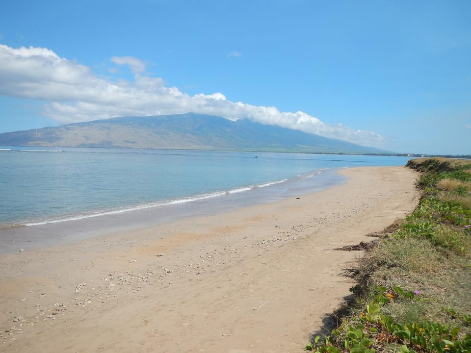 Natural landscape, Activities, Other, Beach, Diving, On site