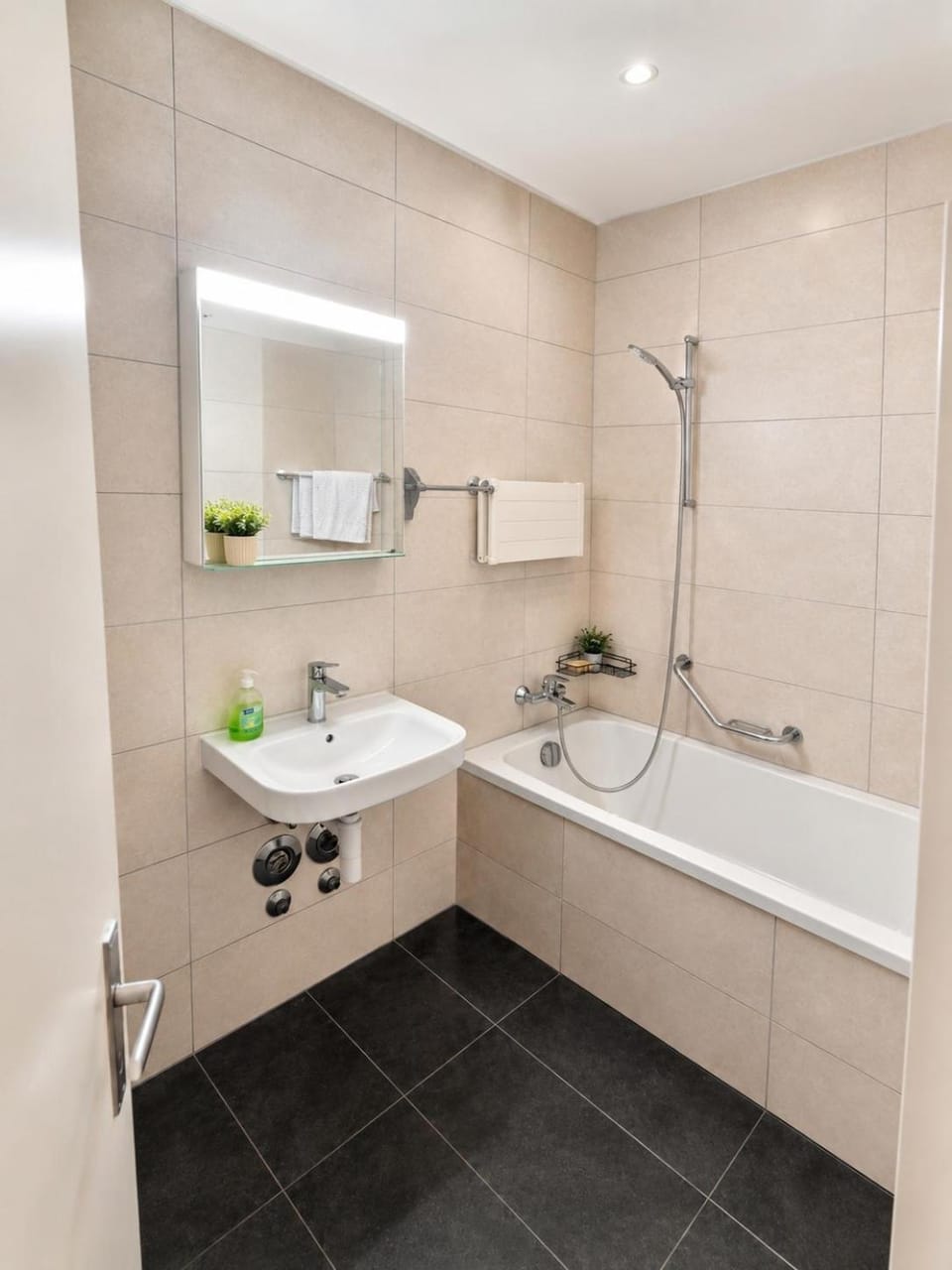 apartment near the city center Apartment in Canton of Geneva