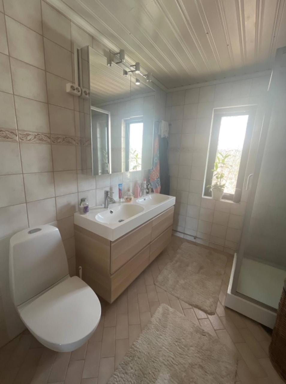 Vila Rose Vacation rental in Skåne County
