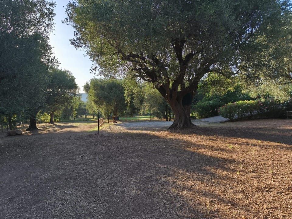 Villa Vincenza Country House in Campania