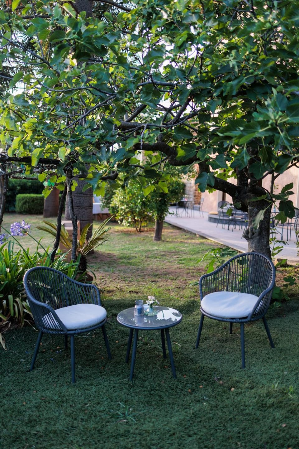 Villa Vincenza Country House in Campania