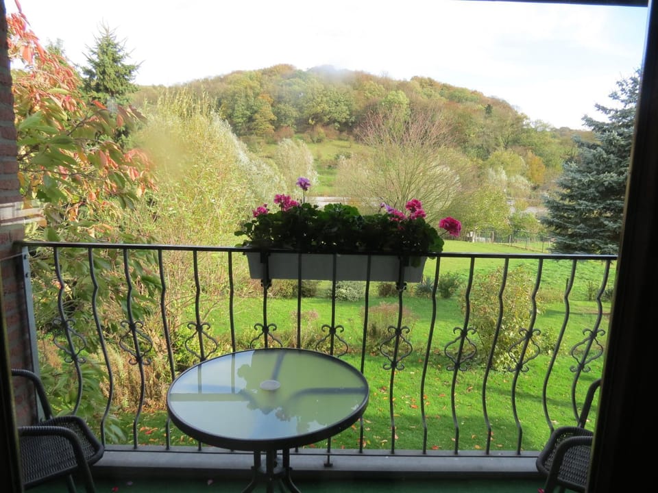 View (from property/room), Balcony/Terrace