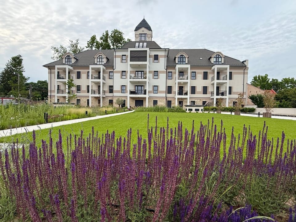 Property building, Spring, Garden, Garden view