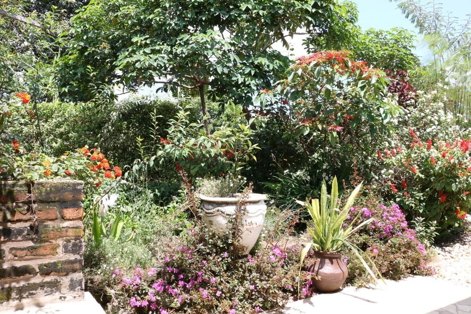 Garden view