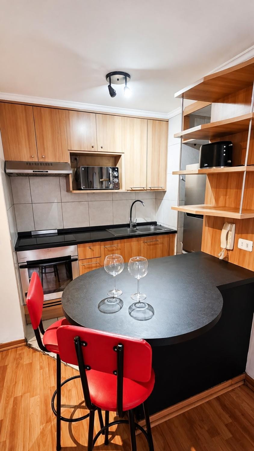 Apartment with a view minutes from Santa Lucia Apartment in Santiago
