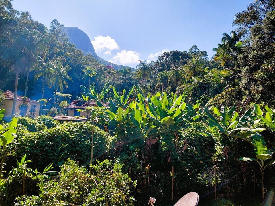 Garden, Mountain view