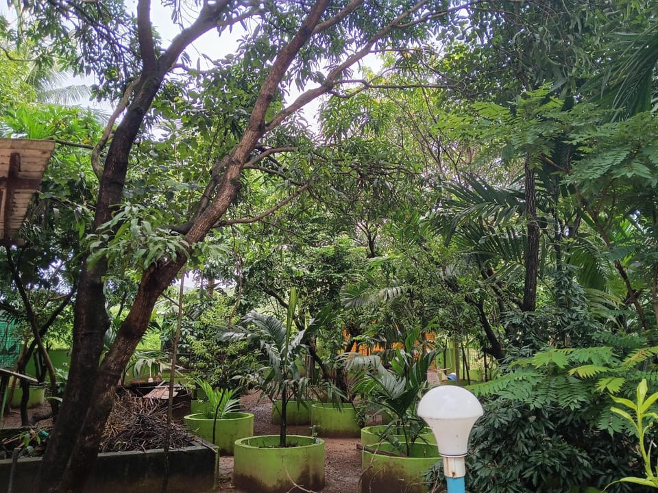 Hi Greenhouse Holiday Homestay Vacation rental in Karnataka