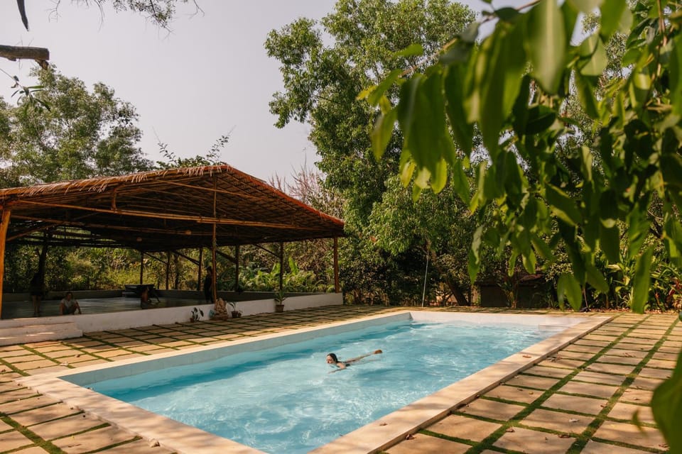 Pool view, Swimming pool, Swimming pool