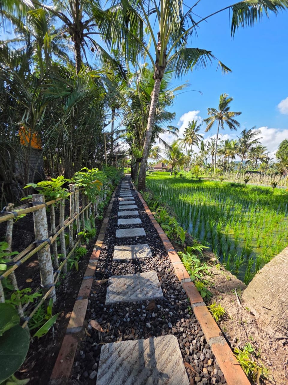 Golden paddy bamboo house -by sunrise hill Villa in Selat