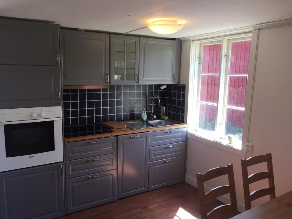 Kitchen or kitchenette, dishwasher, oven
