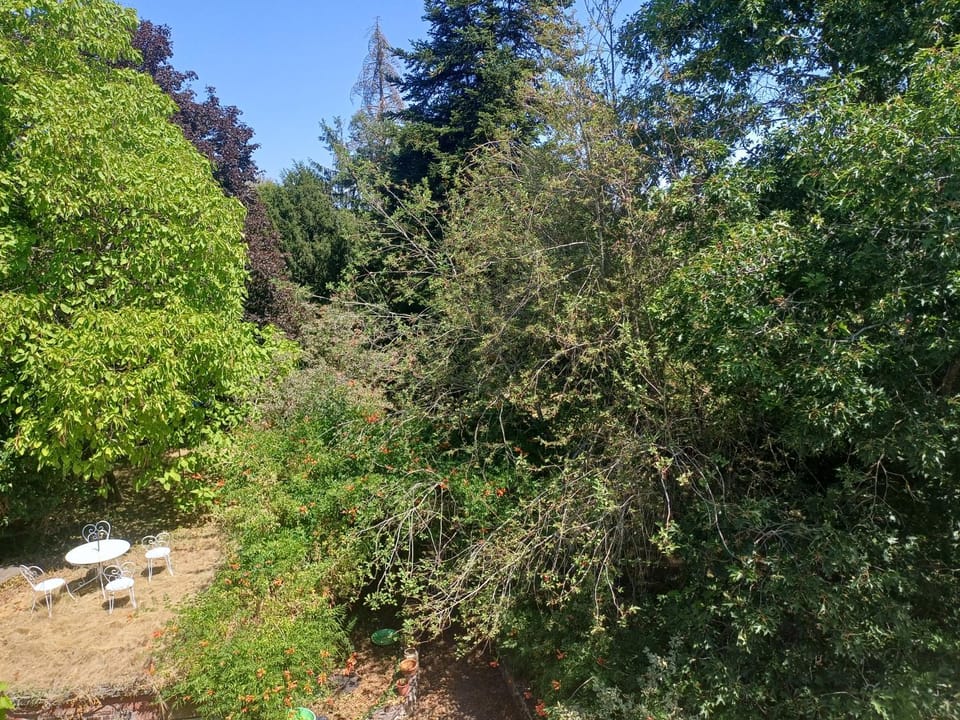 Garden view