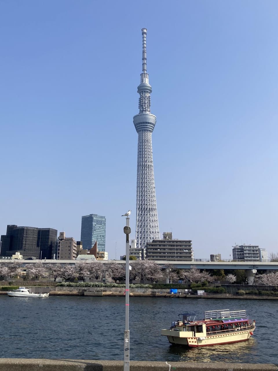 銀川の宿 Apartment in Japan