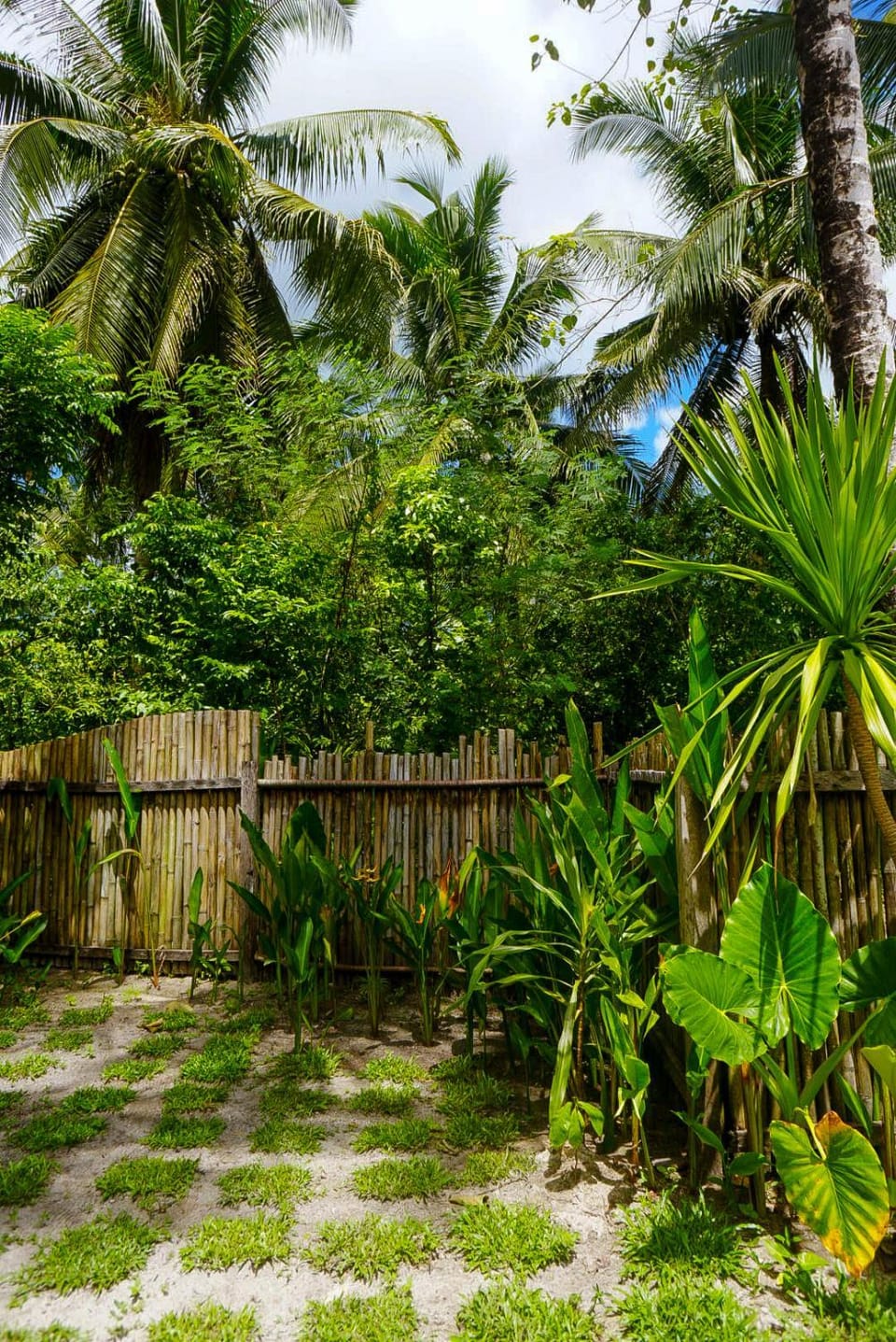 Natural landscape