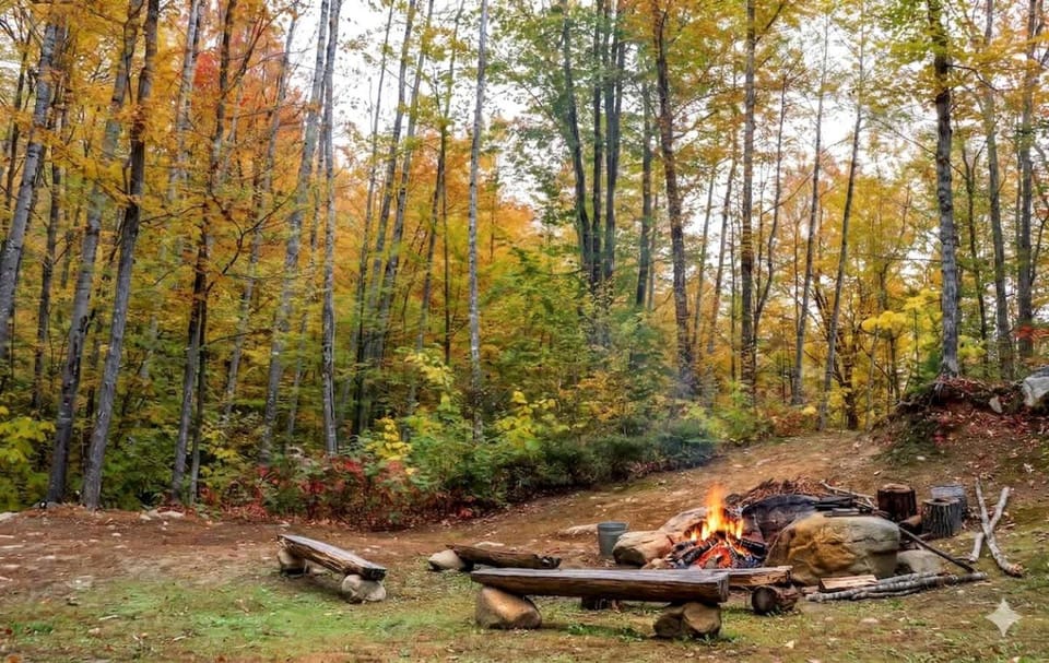Romantic Treehouse with Forest Trails near White Mountain National Forest, Stoneham, Maine House in Lovell