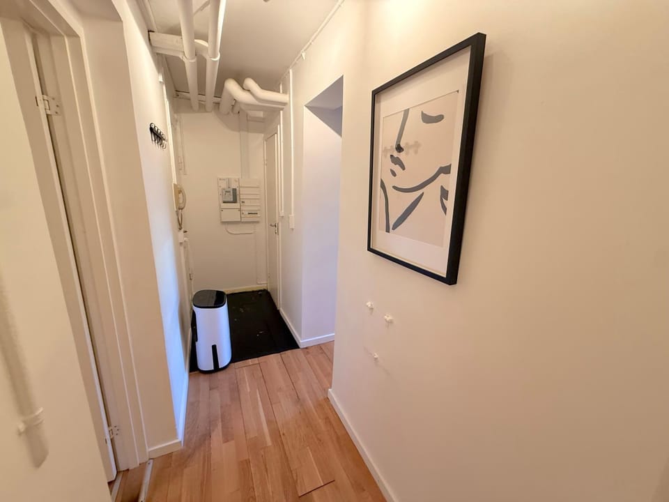 Bright Ground-Floor Apt 500m from Nørrebro Station Apartment in Copenhagen