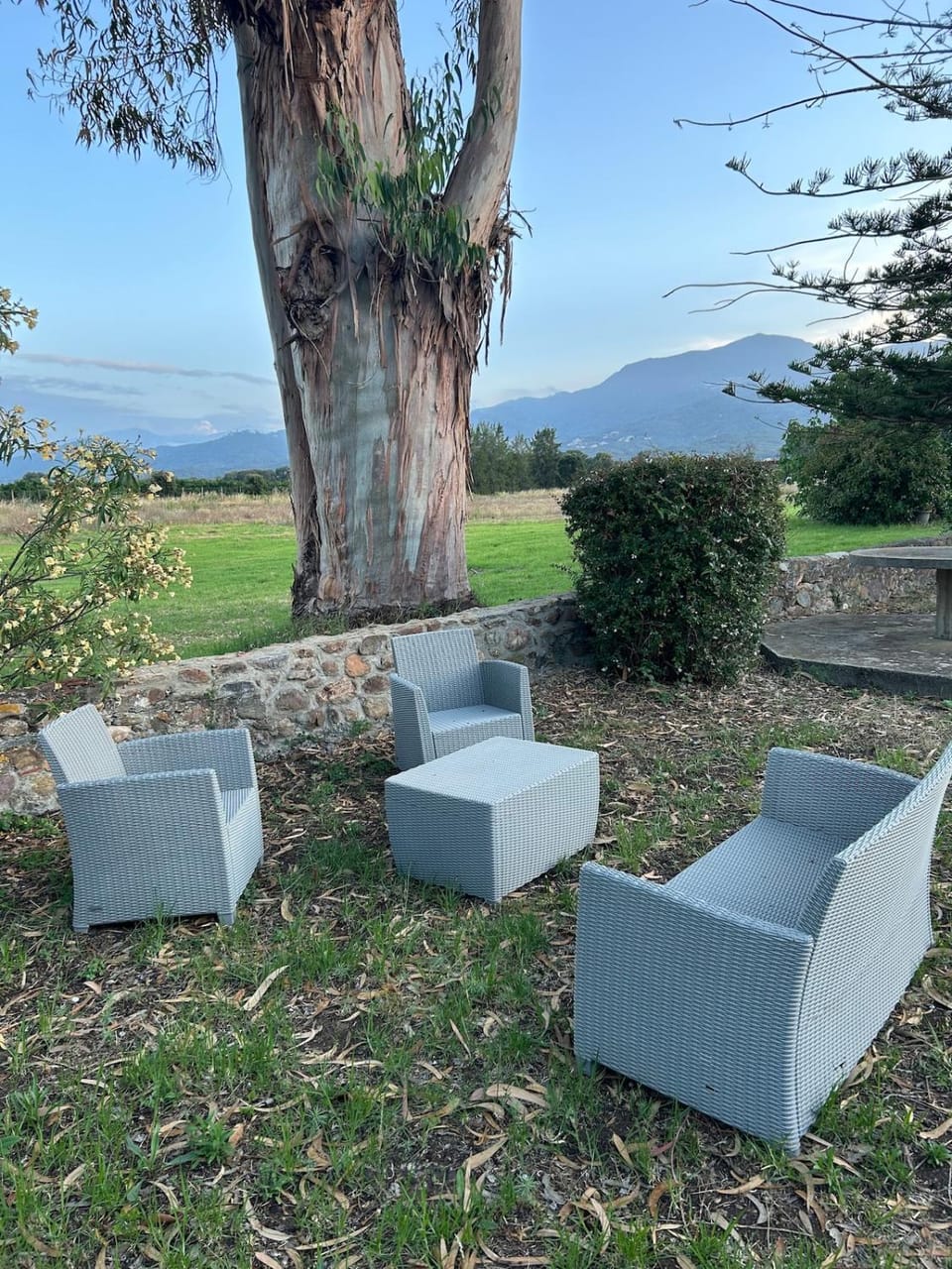 2 bedrooms in the countryside Apartment in Corsica