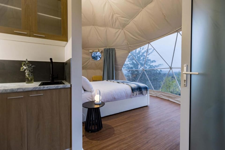 Kitchen or kitchenette, Bedroom