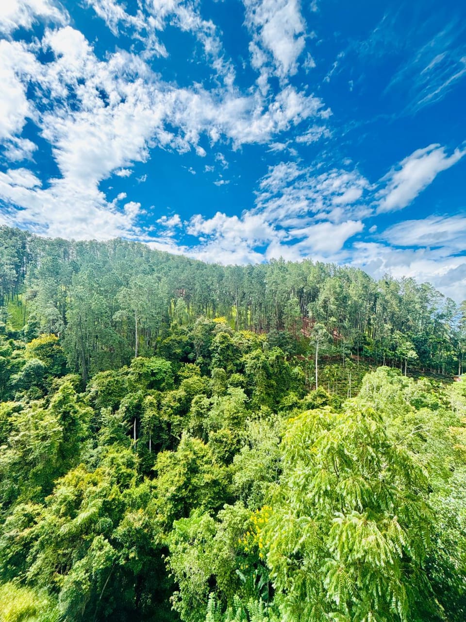 Kingdom of Dreams Ella Hotel in Uva Province, Sri Lanka
