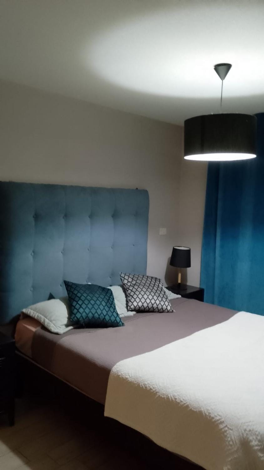 Antonia Apartment in Santiago