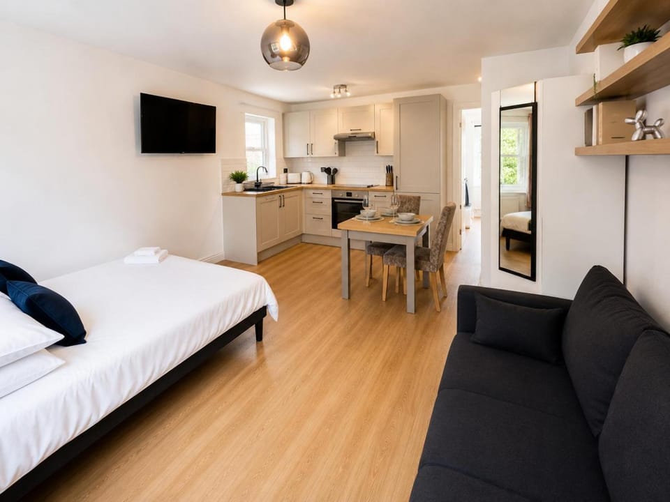 Bed, TV and multimedia, Kitchen or kitchenette, Living room, Photo of the whole room, Seating area, Dining area, Bedroom, oven