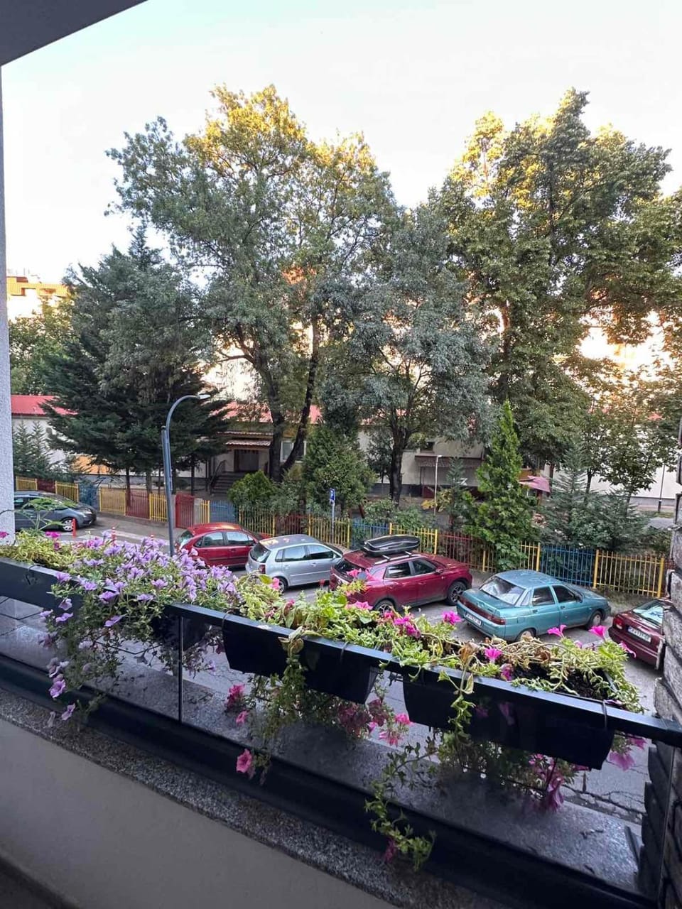 Day, Garden, Garden view