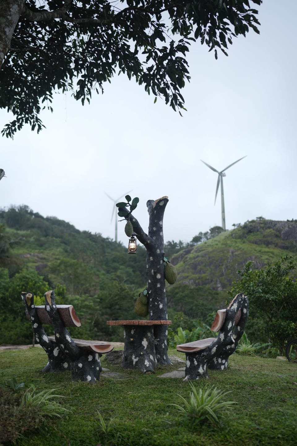 Garden view
