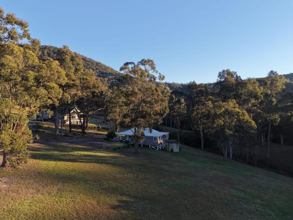 Natural landscape, Garden, Mountain view