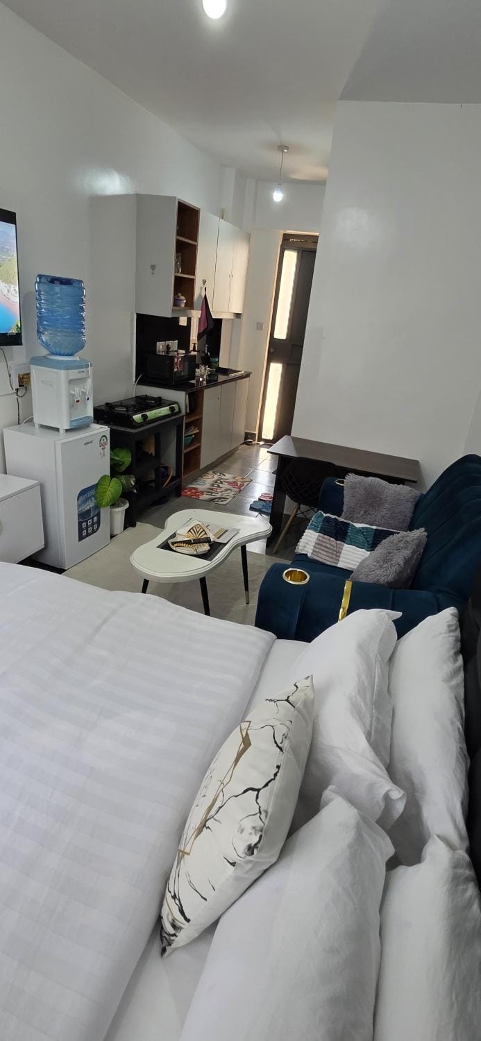 Modern StudioThindigua kiambu road Nairobi Apartment in Nairobi
