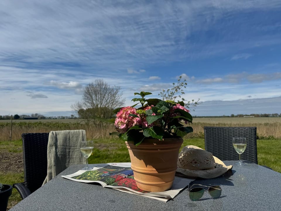 View (from property/room)