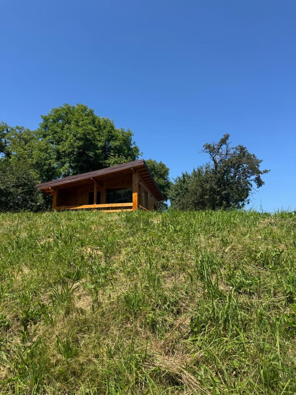Bran Forest Hideaway House in Bran