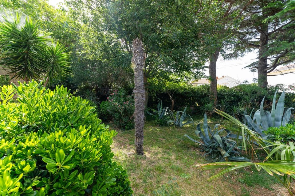 CC Zorro with Garden Apartment in Novalja