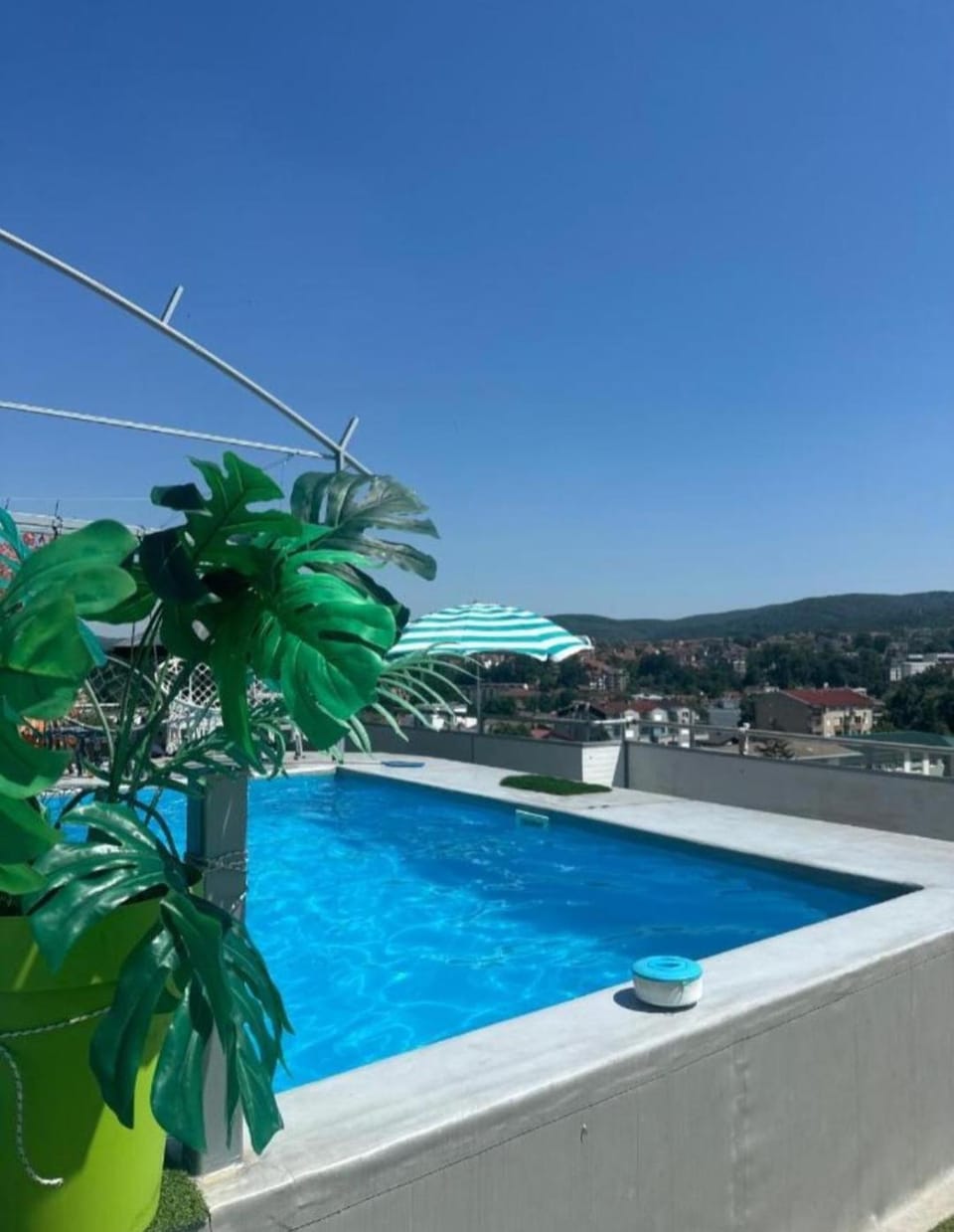 Day, Garden, Garden view