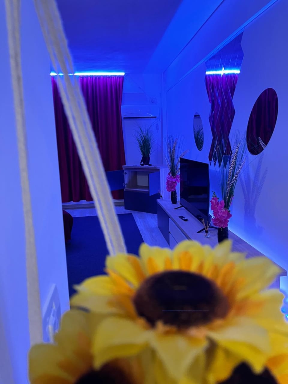 RedSensation Apartment in Timisoara