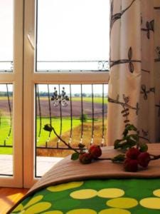 Villa Polskacanaria Country House in Pomeranian Voivodeship