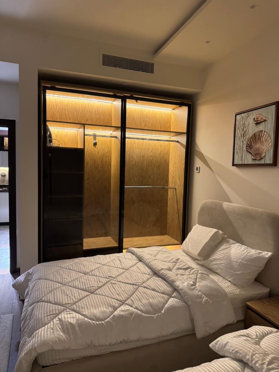Bedroom, wardrobe, air conditioner