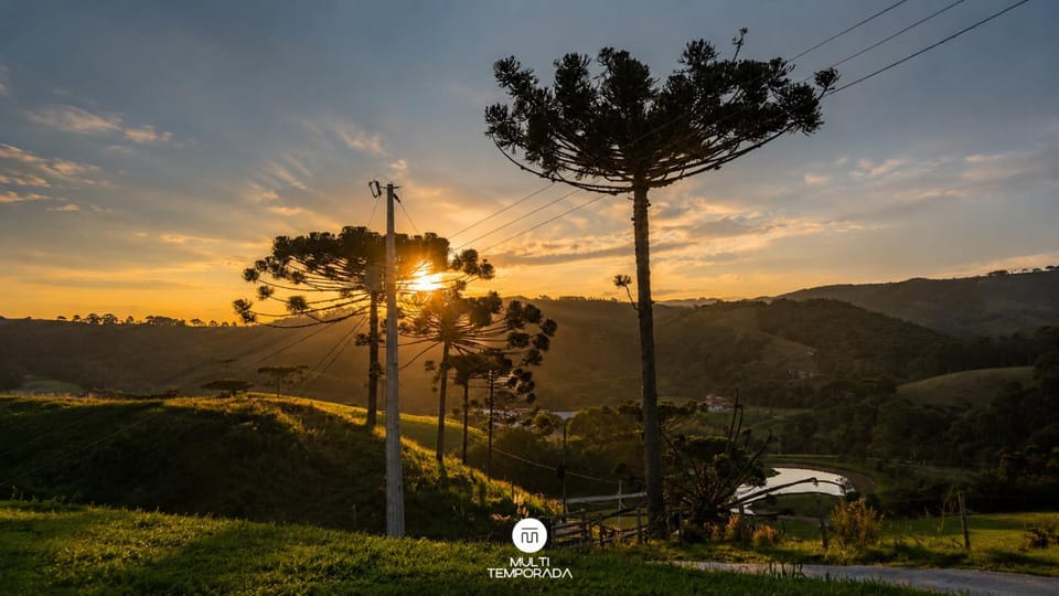 Natural landscape