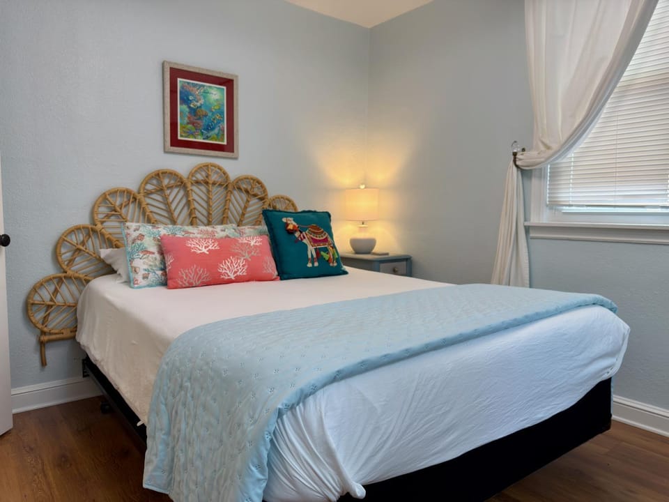 Walkable, fun, local Dunedin experience House in Dunedin