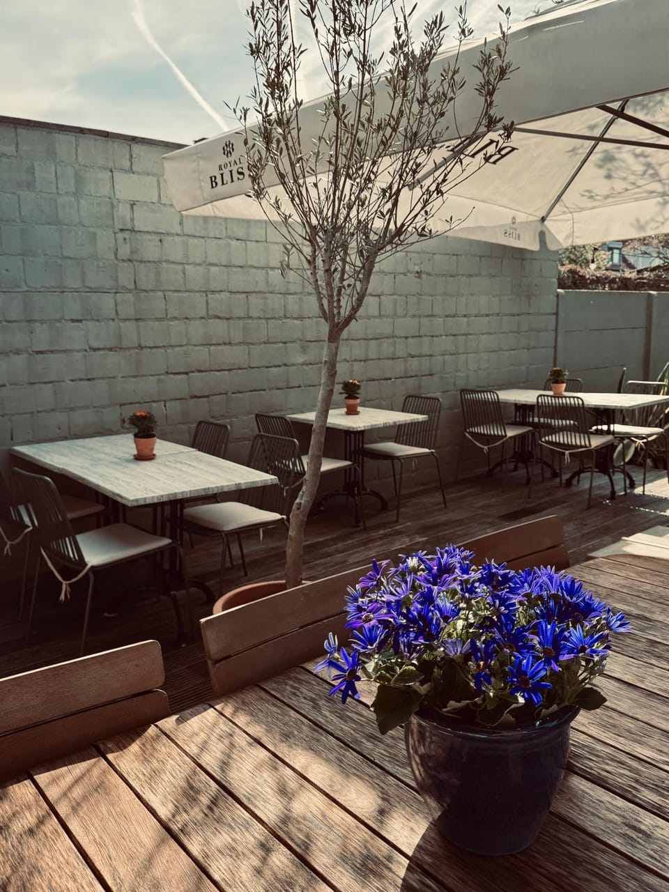 Restaurant/places to eat, Day