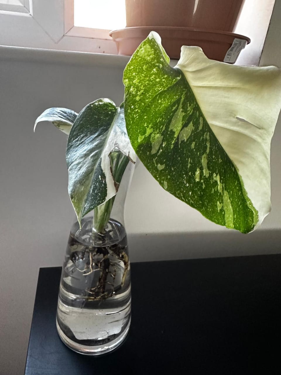 The Bristol Homestay Vacation rental in Bristol