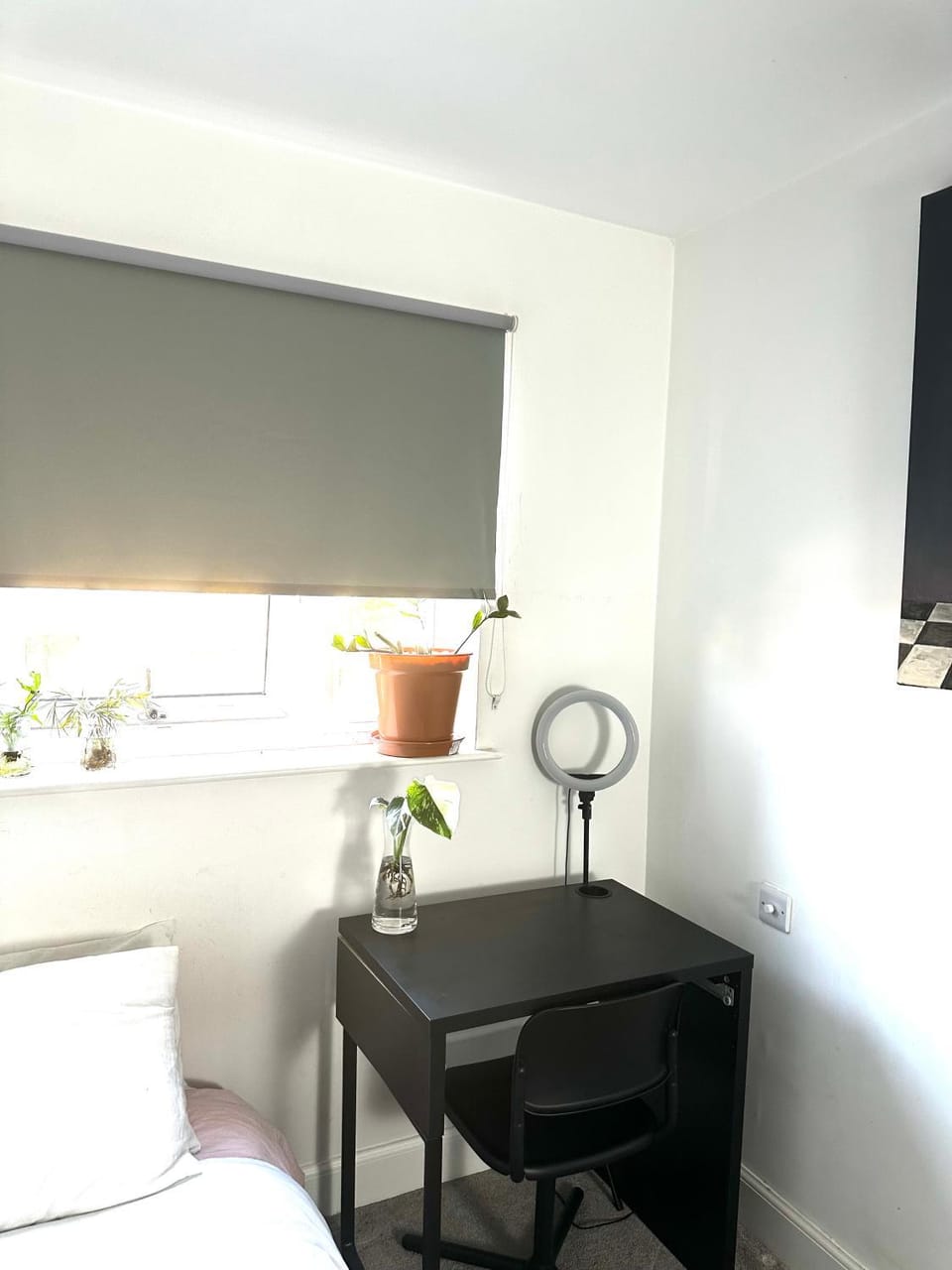 The Bristol Homestay Vacation rental in Bristol